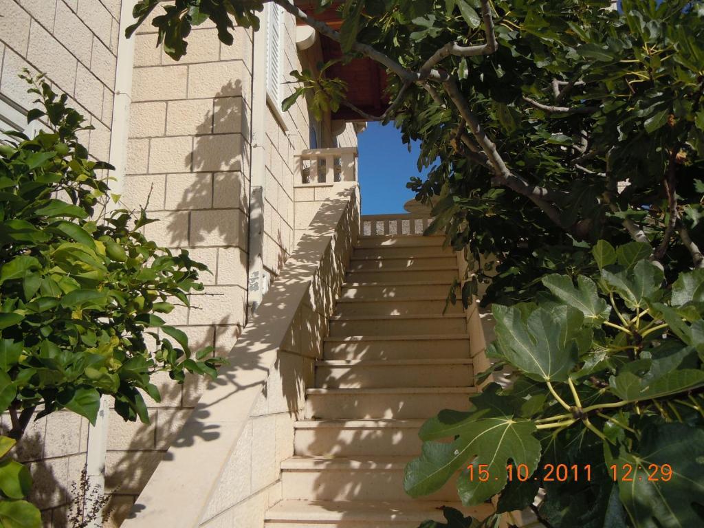 Central Apartment Dubrovnik *