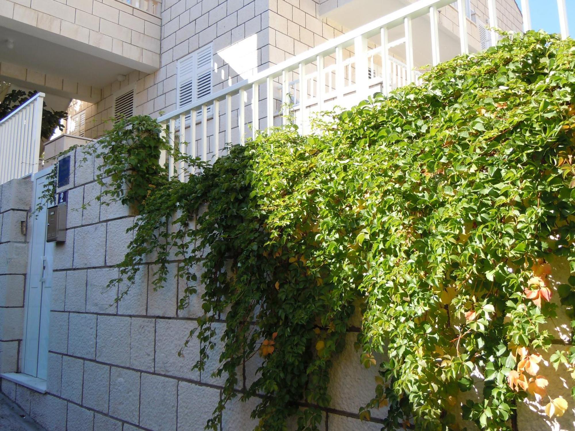 Central Apartment Dubrovnik Apartment