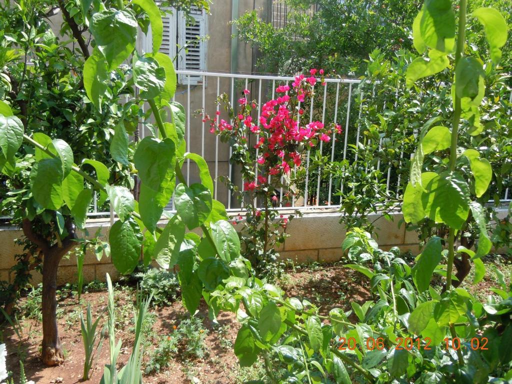 Apartma Central Apartment Dubrovnik *